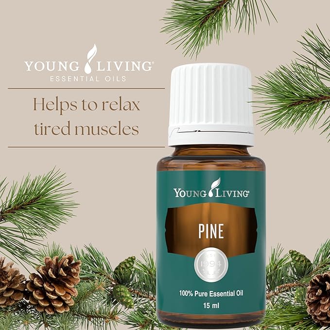 Young Living Pine Essential Oil | 15 ml | Fresh, Woodsy Aroma for Uplifting Energy, DIY Cleaning, Aromatherapy Diffusion, Relaxing Massage, Grounding Meditation, Topical Use, Dilution Required