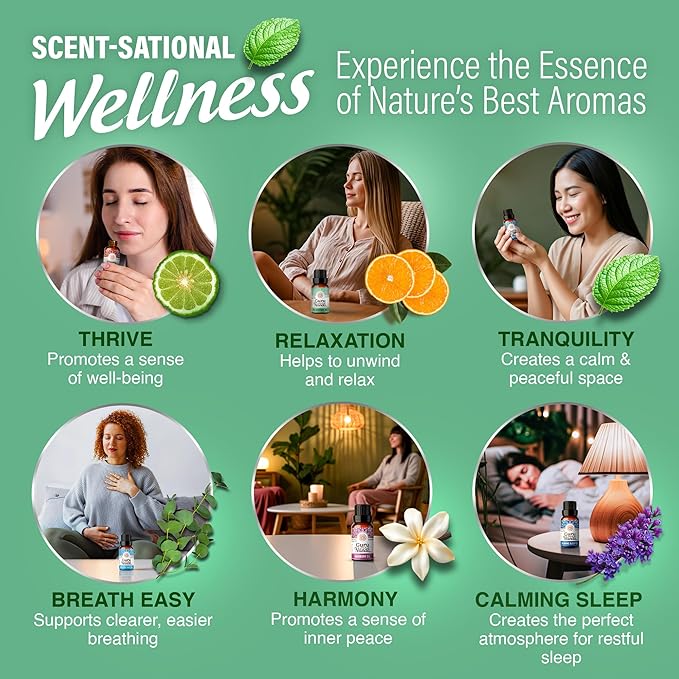 GuruNanda Essential Oil Blends (Set of 6) - Natural Essential Oil Set, Aromatherapy Oil Blends for Diffusers - Breathe Easy, Tranquility, Harmony, Calming Sleep, Relaxation & Thrive