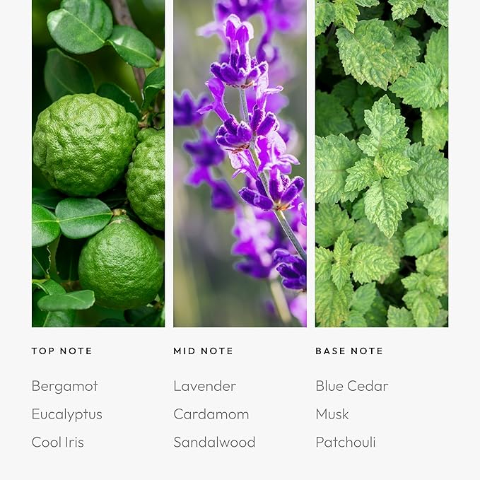 Aroma360 - Blue Moon Pro Pod 50ML