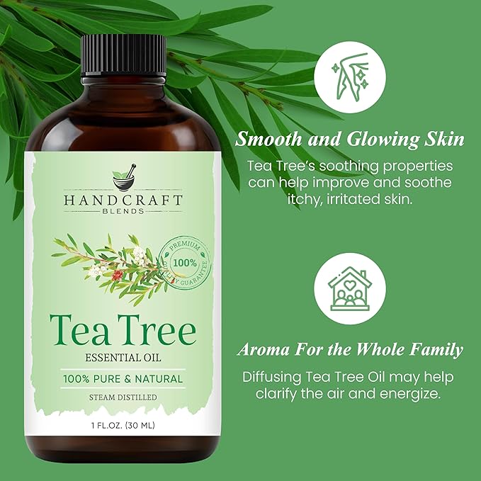 Handcraft Blends Tea Tree Essential Oil - 1 Fl Oz - 100% Pure and Natural - Premium Grade Essential Oil for Diffuser and Aromatherapy
