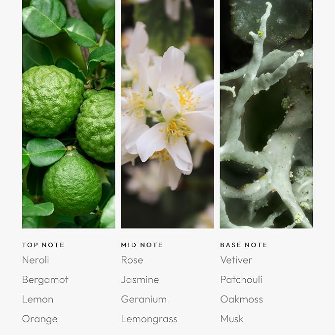 Talentless Pro - Pod