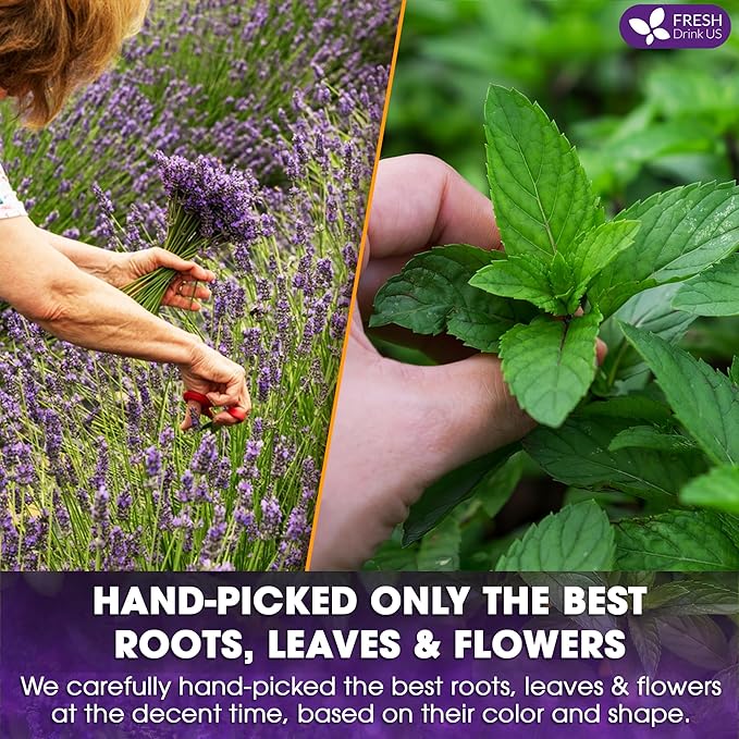 FreshDrinkUS, Premium 135 Tea Bags Lavender Mint Tea, 100% Natural, Blend of Lavender, Peppermint, Sage and Licorice. Made with Natural Material Tea Bags. No Sugar, No Caffeine, Vegan.