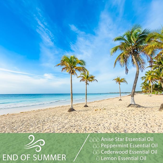 Anise Star 3.38fl.oz Essential Oil, PHATOIL Pure Aromatherapy Oils for Diffuser, Humidifier, Perfect for DIY Soap, Candle, Bath Bombs Making(100ml)