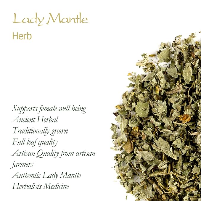 Lady Mantle Organic Herbal Tea - Lady's Alchemilla Vulgaris Herb - Lady's Mantle Herb Ladys Mantle Ladies Mantle Tea Ladies Mantle Herb Lady's Mantle Tea Lady s Mantle Dried Ladys Mantle