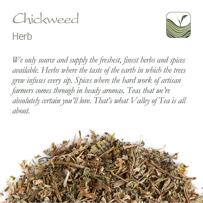 Chickweed Tea Herb - Chick Weed Herb - Stellaria Media Chickwood Chicked Tea Herb Chick Weed Chickweed Herb Chicken Weed Herb