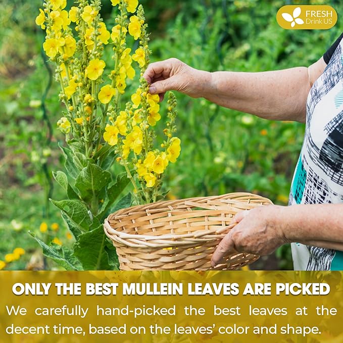 FreshDrinkUS, Premium 40 Mullein Leaf Tea For Lungs, Great Lung Detox For Smokers, Handmade, 100% Natural & Pure, No Sugar, No Caffeine, No Gluten, Vegan