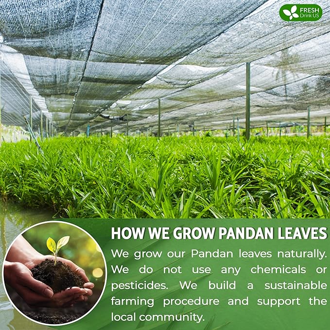 FreshDrinkUS, Premium 1.3oz Pandan Leaf Powder, 100% Natural and Pure from Pandan Dried Leaves, Emerald Pandan Powder, Green Food Coloring, No Additives, No Gluten, Vegan.