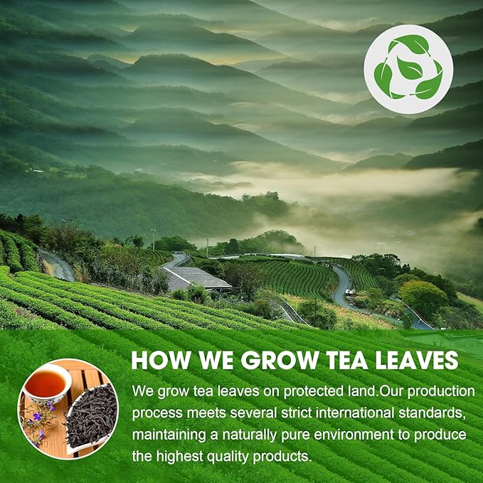 Organic Tea Sampler – 10 Eco-Friendly Tea Cups for Hot or Iced Teas, Premium Loose Leaf Teas Variety Pack – Jasmine, Chamomile, Hibiscus, Lemon Balm, Green Tea