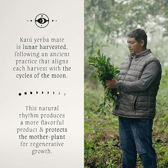 Katú Ka'a Premium Organic Loose-Leaf Raw Yerba Mate Tea, Air-Dried, Unroasted, Smooth Traditional Taste, Natural Energy, 17.6 oz (500g)