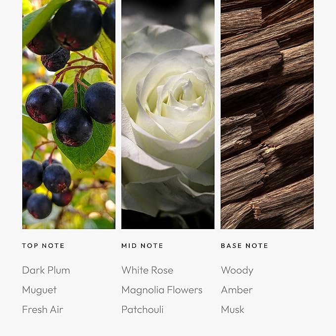 Aroma360 Pro Pod - Fragrance Oil - Scent Includes Dark Plum, Magnolia & Amber - Jolene, 50mL/1.7 fl oz