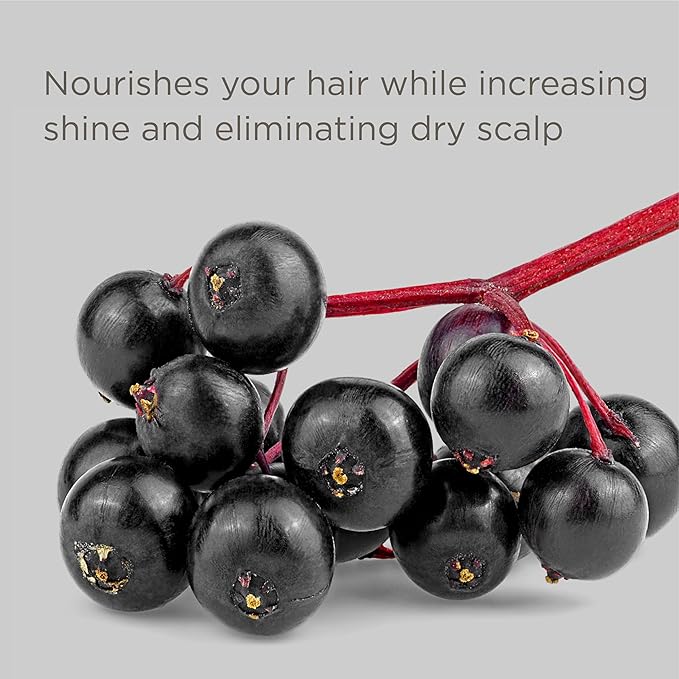 Hairitage Color Check Color Care Hair Mask for Color-Treated Hair and Dry & Damaged Hair - UV Protection - Strengthening Moisture Repair Hair Treatment - Color-Safe Hair Mask - 8 fl oz