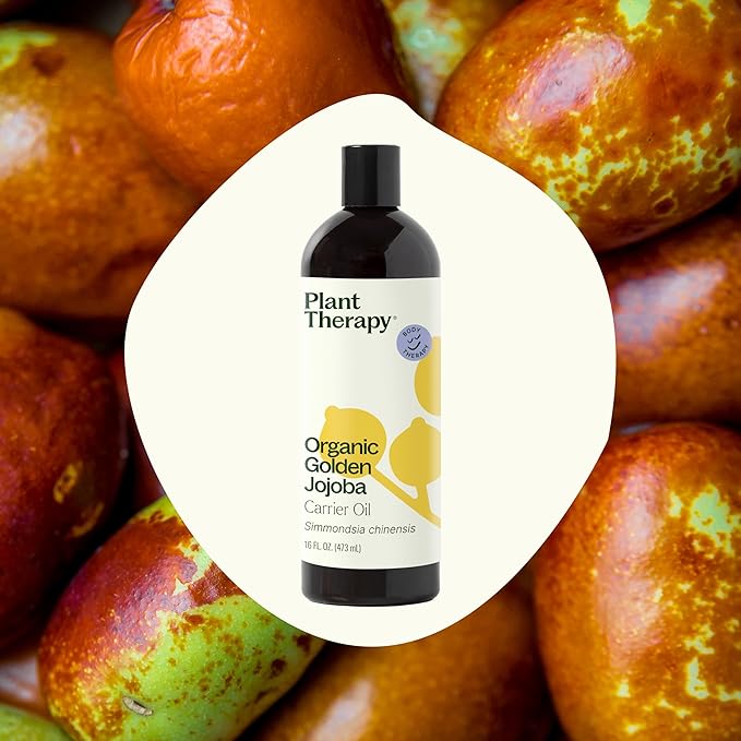 Plant Therapy Organic Jojoba Golden Carrier Oil 16 oz Base Oil for Aromatherapy, Essential Oil or Massage use