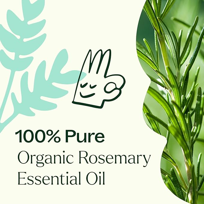 Plant Therapy Organic Rosemary Essential Oil 100% Pure, USDA Certified Organic, Undiluted, Natural Aromatherapy, Therapeutic Grade 30 mL (1 oz)
