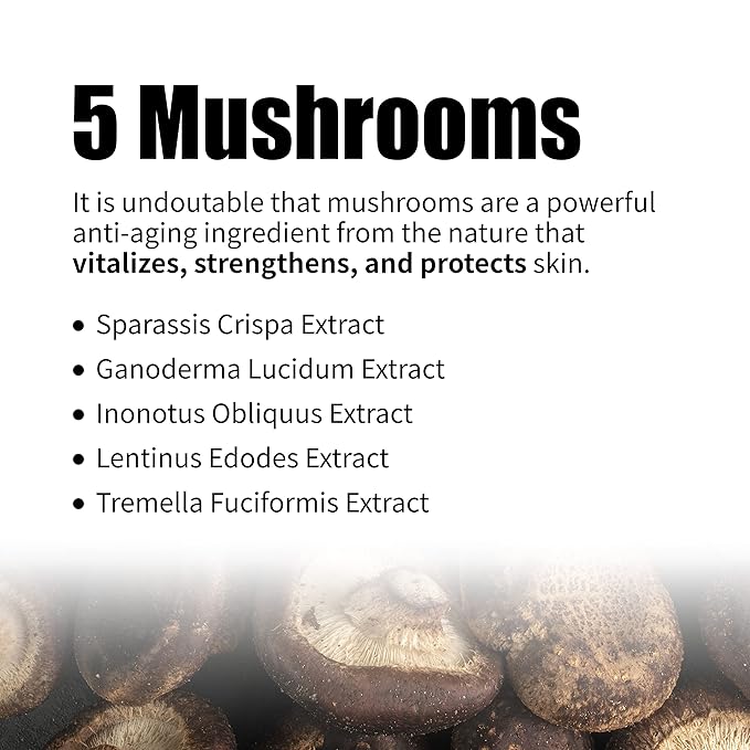 JIN JUNG SUNG Non-sticky Enrich Moisture Niacinamide Serum 5 Oz Even Skin Tone Minimizing Pores Plump Fine Lines 8-Hyaluronic Acids 5 Mushrooms 4 Ceramides Oily Sensitive No Chemicals Korean Skincare