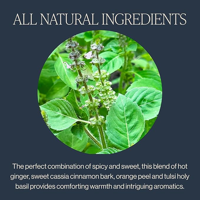 Rishi Tea Cinnamon Tulsi Spice Herbal Tea - Organic, Caffeine Free Sachet Bags, Warming & Naturally Sweet Botanical Blend - 15 Count (Pack of 1)