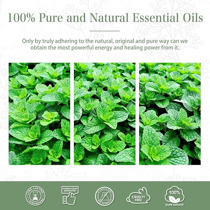 Spearmint 1.01fl.oz Essential Oil, PHATOIL Pure Aromatherapy Oils for Diffuser, Humidifier, Perfect for DIY Soap, Candle, Bath Bombs Making(30ml)