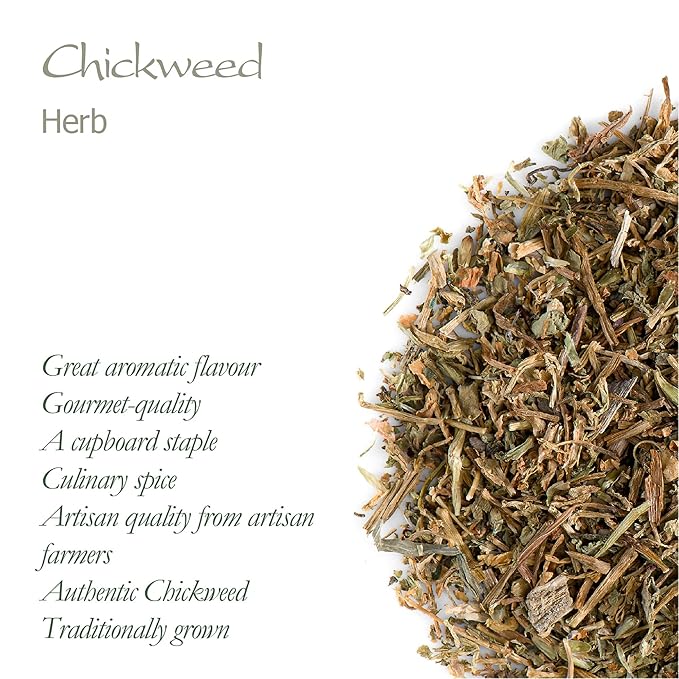 Chickweed Tea Herb - Chick Weed Herb - Stellaria Media Chickwood Chicked Tea Herb Chick Weed Chickweed Herb Chicken Weed Herb