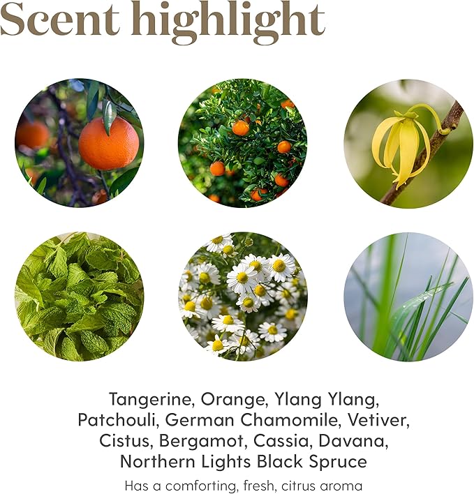 Young Living Peace & Calming II Essential Oil | 5ml | 100% Pure and Premium-Grade | Diffuser-Friendly | Comforting, Fresh Citrus Aroma | Promotes Peaceful Meditation