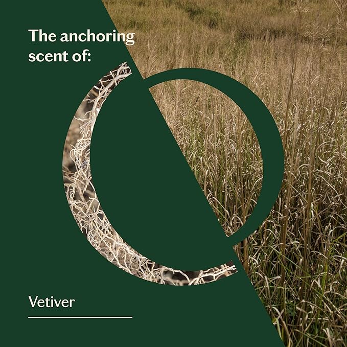 LIVEDROPS 24/7 Balanced Vetiver Essential Oil - Anchoring Scent of Vetiver - Crafted in France - Pure & Natural - Aromatherapy - Dilute in Carrier Oil for The Skin or use in a Diffuser