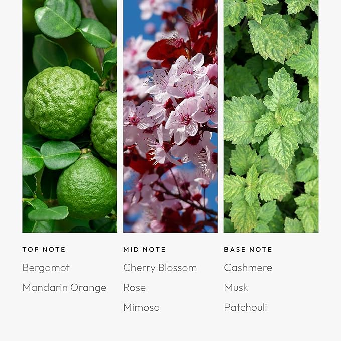 Aroma360 Pro Pod - Fragrance Oil - Scent Includes Mandarin Orange, Cherry Blossom & Cashmere - Never Too Much, 50mL/1.7 fl oz