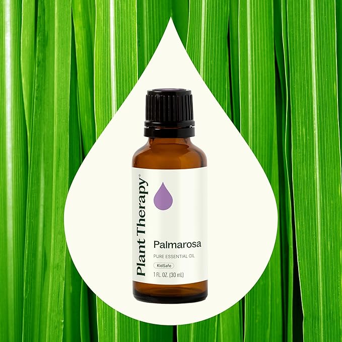 Plant Therapy Palmarosa Essential Oil 100% Pure, Undiluted, Natural Aromatherapy, Therapeutic Grade 30 mL (1 oz)