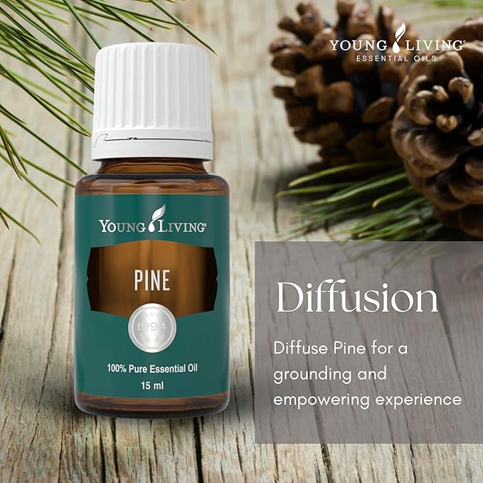 Young Living Pine Essential Oil | 15 ml | Fresh, Woodsy Aroma for Uplifting Energy, DIY Cleaning, Aromatherapy Diffusion, Relaxing Massage, Grounding Meditation, Topical Use, Dilution Required