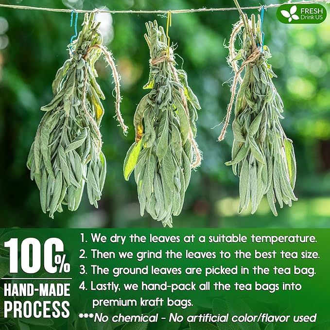 FreshDrinkUS, Premium 15 Sage Leaf Tea Bags, 100% Natural & Pure from Sage Leaves. Loose Leaf Sage Herbal Tea. Made with Natural Material Tea Bags. No Sugar, No Caffeine, No Gluten, Vegan.