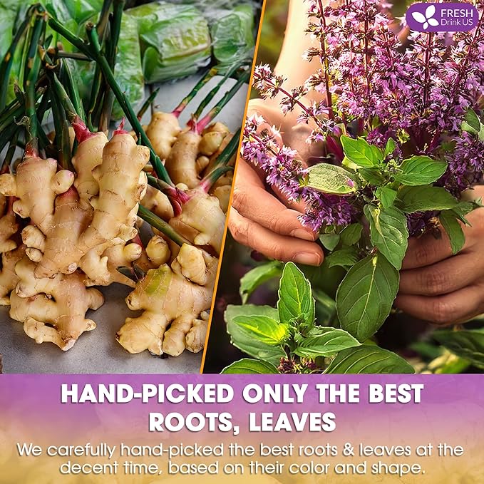 FreshDrinkUS, Premium 75 Ginger Tulsi Tea Bags, 100% Natural, Hand-made Blend of Ginger and Tulsi Holy Basil Leaves, Eco-conscious Tea Bags. Ginger Tulsi Herbal Tea. No Sugar, No Caffeine, Vegan.