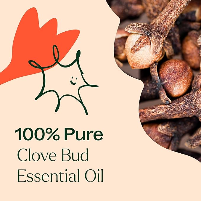 Plant Therapy Clove Bud Essential Oil 100% Pure, Undiluted, Natural Aromatherapy, Therapeutic Grade 100 mL (3.3 oz)
