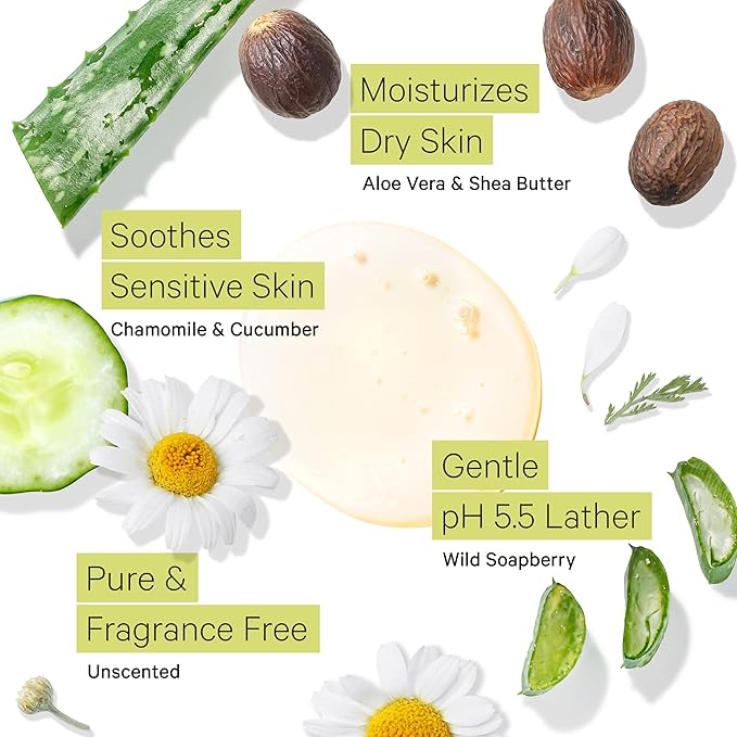 Tree to Tub Unscented Shea Butter Body Lotion for Dry Skin & Unscented Body Wash for Sensitive Skin - pH Balanced Fragrance Free Sensitive Lotion and Body Wash for Women & Men - Sulfate Free