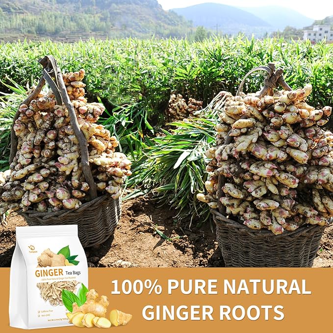 Dried Ginger Root Tea Bags - 60bags/6.4 OZ 100% Pure & Natural Roasted Ginger Herbal Tea, Caffeine Free, No Additives, No Sugar, Non-GMO, No Gluten