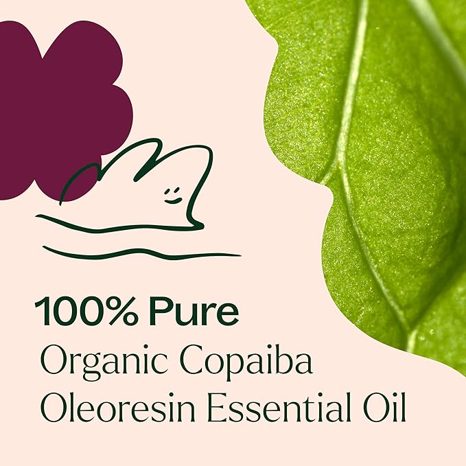 Plant Therapy Copaiba Oleoresin Organic Essential Oil 100% Pure, Undiluted, Natural Aromatherapy for Diffuser & Skin, Therapeutic Grade 10 mL (1/3 oz) Organic Copaiba Oil for Calming, Massage, Candles