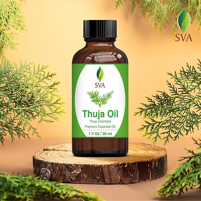 SVA Thuja Essential Oil – 1 Fl Oz – 100% Natural Thuja Oil - for Diffuser, Hair Care, Face, Skin Care, Aromatherapy, Scalp and Body Massage, Soap and Candle Making - with Dropper