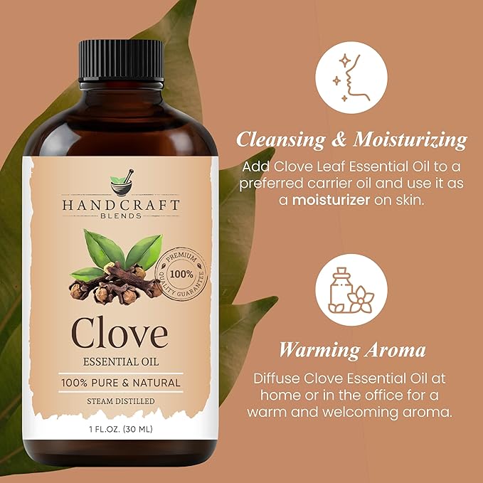 Handcraft Blends Clove Essential Oil - 1 Fl Oz - 100% Pure and Natural - Premium Grade Essential Oil for Diffuser and Aromatherapy