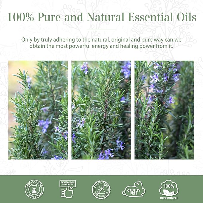 Rosemary 3.38fl.oz Essential Oil, PHATOIL Aromatherapy Essential Oils for Diffuser, Humidifier, Perfect for DIY Soap, Candle, Bath Bombs Making(100ml)