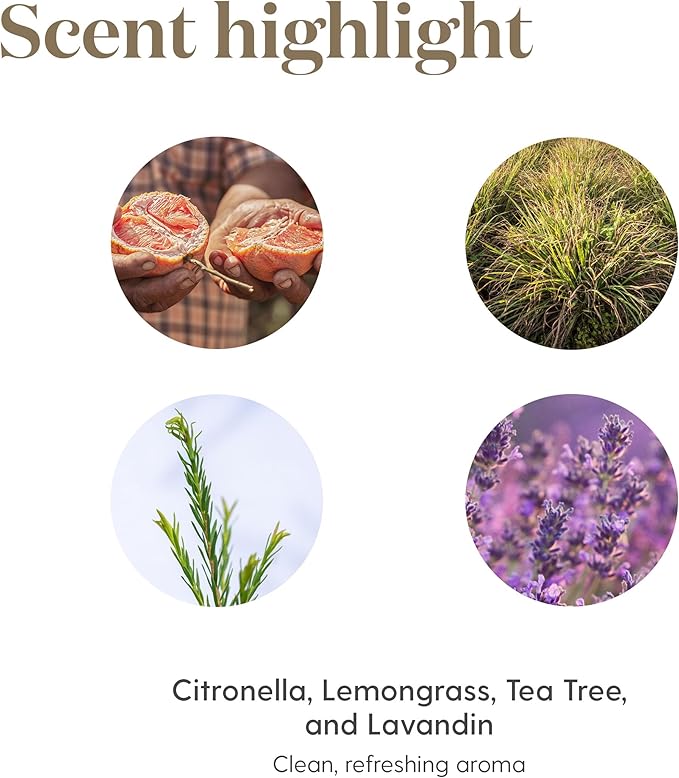 Young Living Purification Essential Oil 15ml | Soothing to Your Skin for Everyday Irritations | Laundry Boosting & Scent Neutralizing | Aromatherapy Diffuser & Freshener for Home