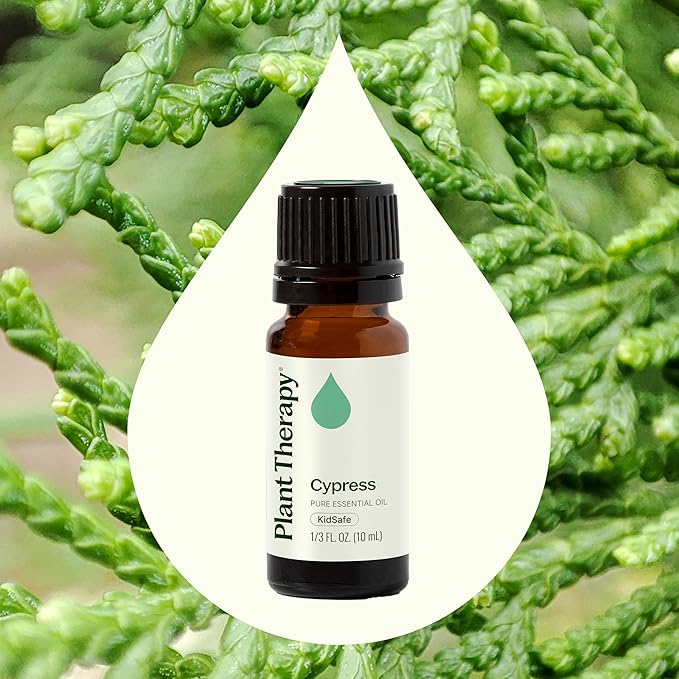 Plant Therapy Cypress Essential Oil 100% Pure, Undiluted, Natural Aromatherapy for Diffuser & Skin, Therapeutic Grade 10 mL (1/3 oz) Cypres Oil Refreshing & Clearing