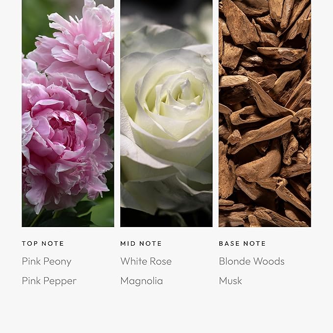 Aroma360 - Timeless Pro Pod Fragrance Oil Blend | Hotel Inspired Luxury Essential Oil Diffuser | Aromatherapy Scent Diffuser Oil | Crisp Laundry, White Rose and Magnolia 1.7 fl oz, 50 mL