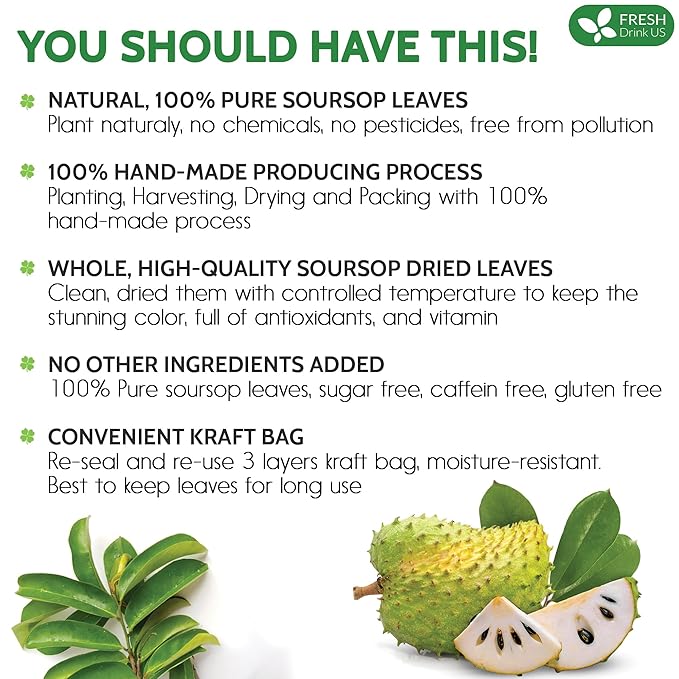 FreshDrinkUS, 55+ Premium Soursop Graviola Dried Leaves, 55-60 Natural Whole Leaves, Wildcrafted, Graviola, Hoja Guanabana, Soursop Loose Leaf Herbal Tea, No Gluten, Vegan
