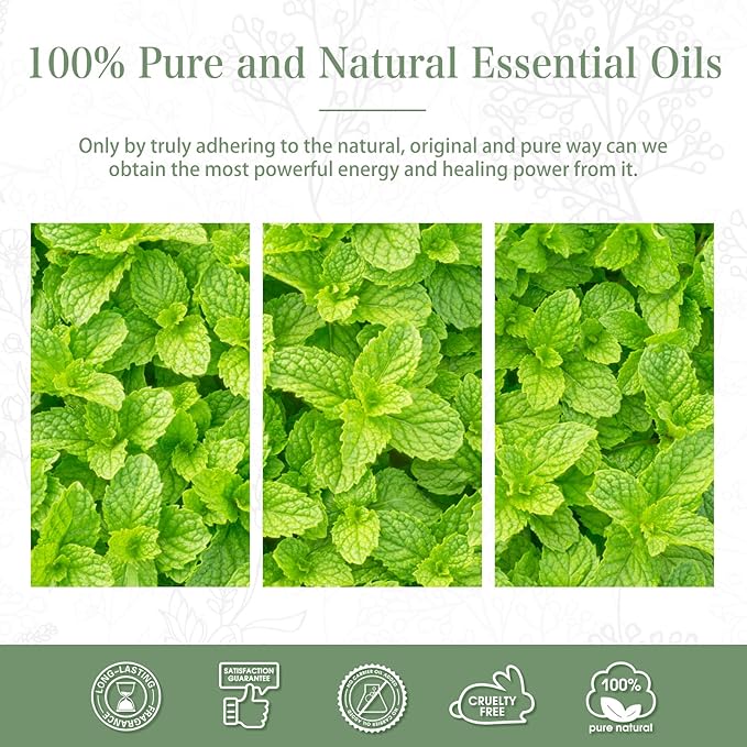 Peppermint Essential Oil, 1.01Fl.Oz (30ML) PHATOIL Pure Essential Oil Singles for Aromatherapy Diffusers, Humidifiers, Great for DIY Candle and Soap Making, Gift for Friend