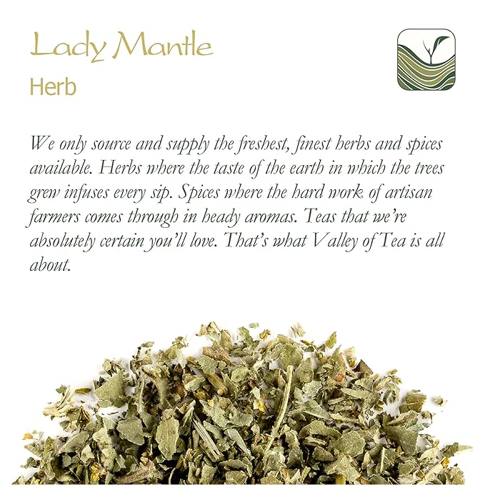 Lady Mantle Organic Herbal Tea - Lady's Alchemilla Vulgaris Herb - Lady's Mantle Herb Ladys Mantle Ladies Mantle Tea Ladies Mantle Herb Lady's Mantle Tea Lady s Mantle Dried Ladys Mantle