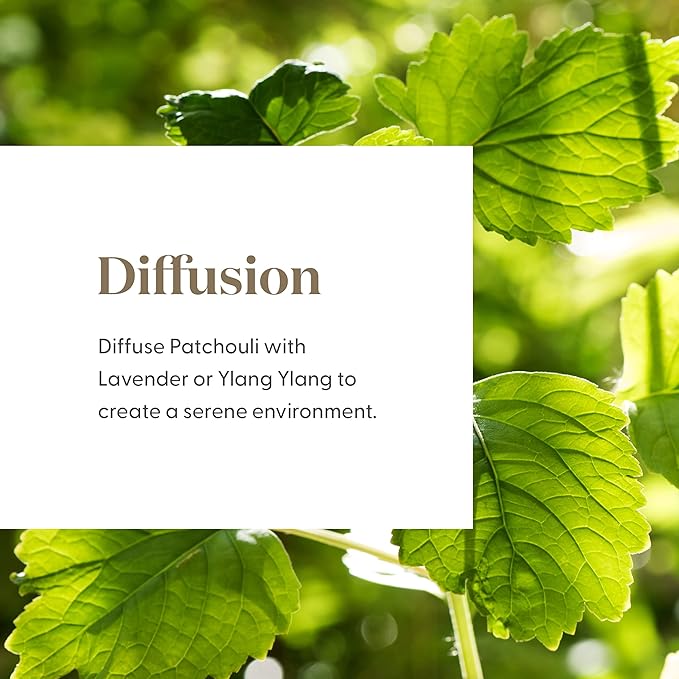 Young Living Patchouli Essential Oil 15ml - Pure, Earthy Aroma for Relaxation, Meditation, Peace, and Grounding - Premium Quality