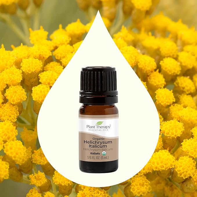 Plant Therapy Organic Helichrysum Italicum Essential Oil 100% Pure, USDA Certified Organic, Undiluted, Natural Aromatherapy, Therapeutic Grade 5 mL (1/6 oz)