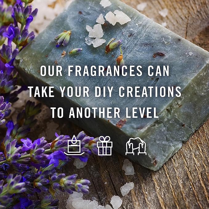 P&J Trading Spice Set of 6 Premium Grade Fragrance Oils - Cinnamon, Harvest Spice, Apple Cider, Coffee Cake, Gingerbread, Pumpkin Pie - 10ml