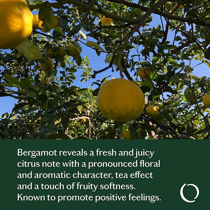 LIVEDROPS 24/7 Good Essential Oil Blend - Bergamot, Palmarosa & Sandalwood – Natural Aromatherapy for Positivity & Focus – Crafted in France by Perfumers – Skin-Safe & Diffuser Compatible