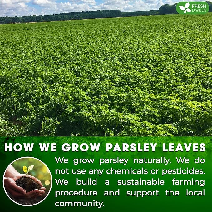 FreshDrinkUS, Premium 75 Parsley Leaf Tea Bags, 100% Natural & Pure from Parsley Leaves. Loose Leaf Parsley Herbal Tea. Made with Natural Material Tea Bags. No Sugar, No Caffeine, No Gluten, Vegan.