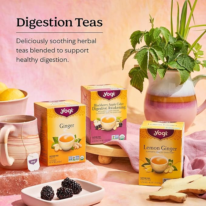Yogi Tea Ginger Variety Sampler - 16 Bags per Pack (3 Packs) - Caffeine-Free, Organic Nausea Relief Teas – Supports Digestion - Includes Ginger, Mango & Lemon Flavors
