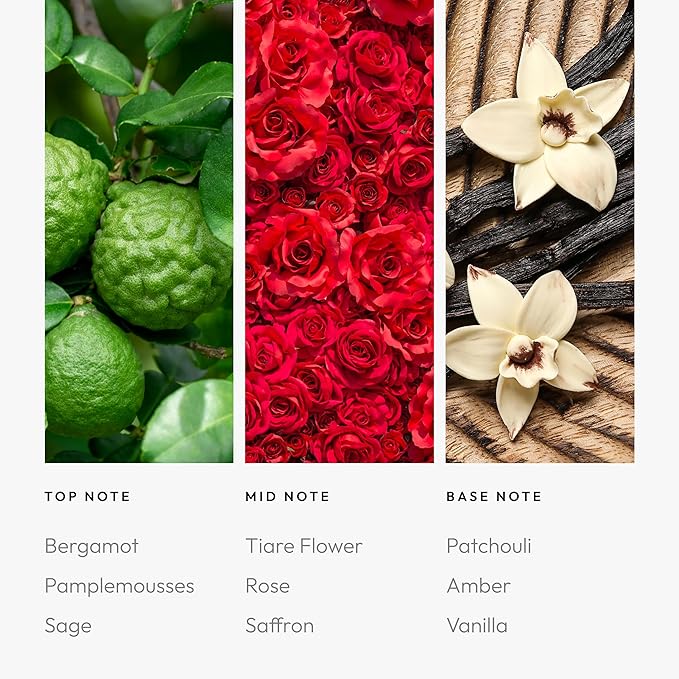 Aroma360 - Black Pro Pod 50ML