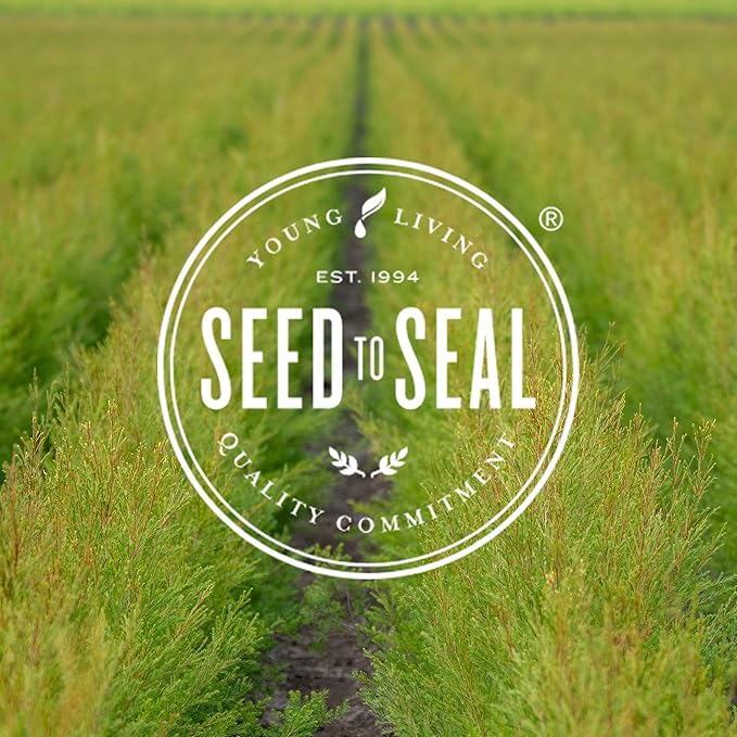 Young Living Valor Essential Oil - Empowering Blend with a Harmonious Blend of Black Spruce, Blue Tansy, Camphor Wood, Geranium, and Frankincense - 5ml Bottle for Courage and Confidence