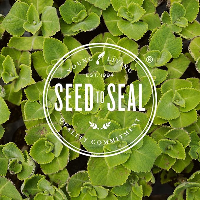 Deep Relief Essential Oil Roll-On by Young Living, Topical